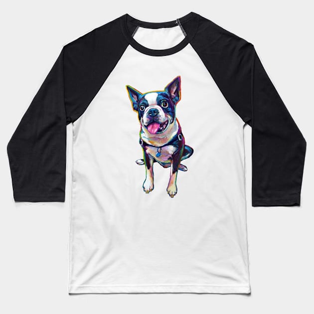 Louie the Boston Terrier Baseball T-Shirt by RobertPhelpsArt